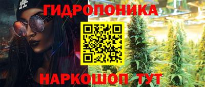индика Рыбинск