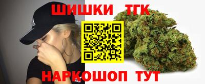 индика Рыбинск