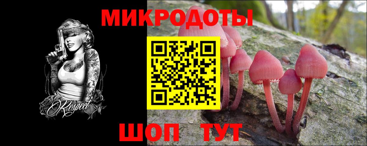 Сегежа  Псилоцибиновые грибы Psilocybine cubensis  Вход с VPN 